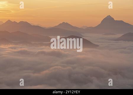 Berggipfel über Wolken bei Sonnenaufgang, Hintergrundbeleuchtung, Dunst, Sommer, Blick von Jochberg nach Guffert, Bayerische Alpen, Oberbayern, Bayern, Deutschland, Europa Stockfoto