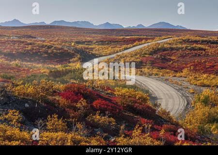 Kurvige Schotterstraße im Herbst vor Bergen, Tundra, Denali Highway, Alaska Range, Alaska Stockfoto