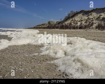 Schaumige Flut entlang einer ruhigen Küstenlinie mit blendendem weißem Sand und bewachsenen Dünen, spiekeroog, ostfriesland, Nordsee, deutschland Stockfoto