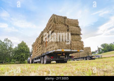 Große Heuballen auf einem Anhänger, der auf einem Feld steht, unter einem sonnigen Sommerhimmel, Dachtel. Schwarzwald, Deutschland, Europa Stockfoto