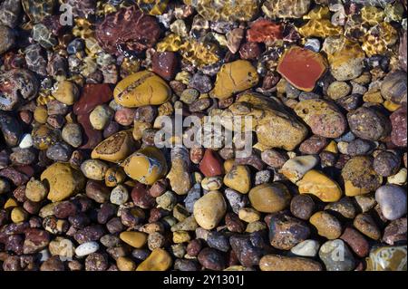 Bunte Kieselsteine unter Wasser, deren Farben und Texturen sich in die Natur einfügen, Lambi Beach, Kieselstrand, Patmos, Dodekanese, Griechische Inseln, Gree Stockfoto