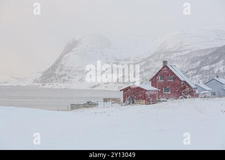 Haus in einem Schneesturm, Küste, Berge, Winter, Finnmark, Norwegen, Europa Stockfoto