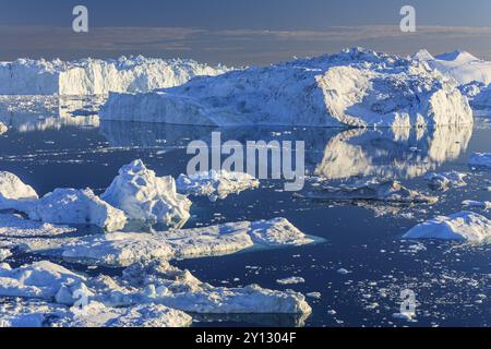 Eisberge und Eisschollen spiegeln sich im Wasser, sonnig, Sommer, Jakobshavn-Gletscher und Eisfjord, Ilulissat Kangerlua, Disko Bay, Westgrönland, Greenla Stockfoto