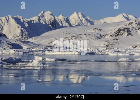 Eisberge im Fjord vor verschneiten Bergen, sonnig, Winter, Arktis, Kulusuk, Ostgrönland, Grönland, Nordamerika Stockfoto