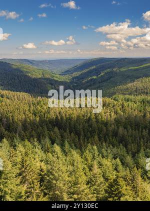 Ein Blick über ein tiefes Tal umgeben von dichtem Wald unter blauem Himmel mit weißen Wolken, Kaltenbronn, Hohlohturm, Schwarzwald, Deutschland, Europa Stockfoto