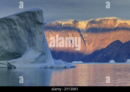 Große Eisberge im Fjord vor Bergen, Abendlicht, Scoresby Sound, Ostgrönland, Grönland, Nordamerika Stockfoto