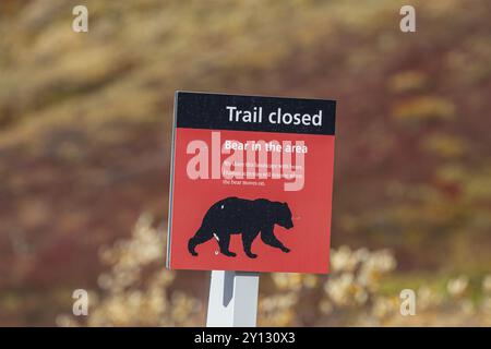 Warnschild für Bärenbegegnungen, Denali National Park, Alaska, USA, Nordamerika Stockfoto