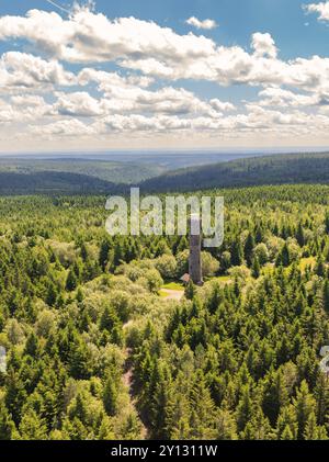 Ein Wachturm erhebt sich aus einem endlosen grünen Wald unter einem weißen bewölkten Himmel, Kaltenbronn, Hohlohturm, Schwarzwald, Deutschland, Europa Stockfoto