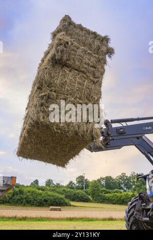 Ein Traktor hebt einen großen Heuballen auf einem Feld, umgeben von Bäumen und einem bewölkten Himmel, Dachtel. Schwarzwald, Deutschland, Europa Stockfoto