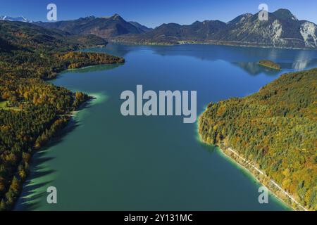 Blick aus der Vogelperspektive auf einen Bergsee und herbstliche farbige Bäume im Morgenlicht, Walchensee, Blick auf Simetsberg, Heimgarten, Herzogstand, Upper Bavari Stockfoto