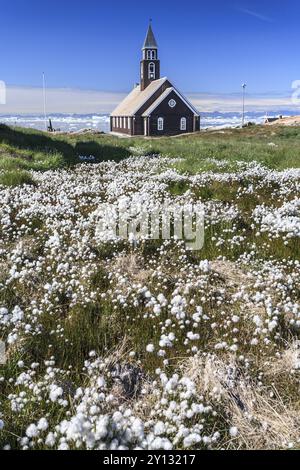 Kirche vor Eisbergen und blauem Himmel, Baumwollgras, Sommer, Zion's Church, Jakobshavn Gletscher und Eisfjord, Ilulissat, Disko Bay, Westgrönland, Stockfoto