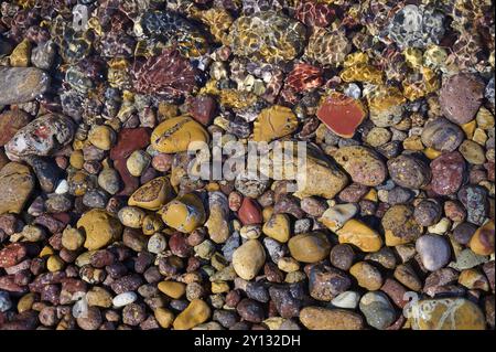 Bunte Kieselsteine unter klarem Wasser, die eine vielfältige Textur und natürliche Muster bilden, Lambi Beach, Kieselstrand, Patmos, Dodekanese, Griechische Inseln, Gree Stockfoto