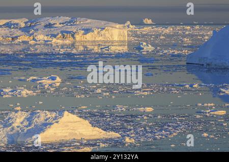 Eisberge und Eisschollen spiegeln sich im Wasser, Sommer, Mitternachtssonne, Jakobshavn-Gletscher und Eisfjord, Ilulissat Kangerlua, Disko Bay, Westgrönland, Stockfoto