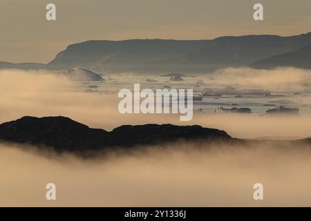 Eisberge und Eisschollen spiegeln sich im Wasser, Nebel, Sommer, Mitternachtssonne, Jakobshavn-Gletscher und Eisfjord, Ilulissat Kangerlua, Disko Bay, West Green Stockfoto