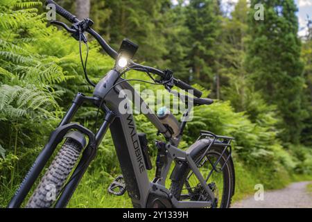 E-Bike auf einem Waldweg, umgeben von grünem Laub und Bäumen, Gechingen, Schwarzwald, Deutschland, Europa Stockfoto