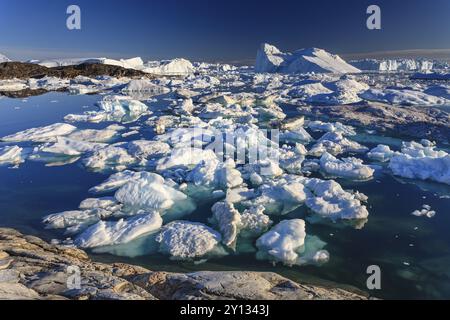 Eisberge und Eisschollen spiegeln sich im Wasser, sonnig, Sommer, Jakobshavn-Gletscher und Eisfjord, Ilulissat Kangerlua, Disko Bay, Westgrönland, Greenla Stockfoto