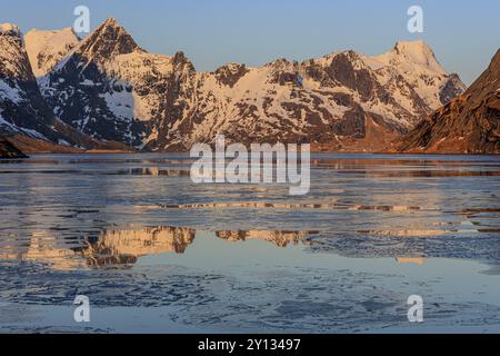 Fjord mit Eisschollen vor steilen Bergen, Reflexion, Morgenlicht, KjerkfjordeWinter, reine, Moskenesoya, Lofoten, Norwegen, Europa Stockfoto