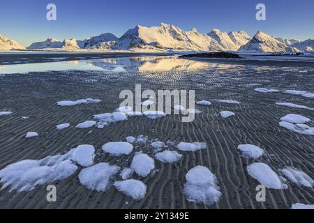 Eisschollen am Strand vor verschneiten Bergen, Abendlicht, Winter, Moskenesoya, Lofoten, Norwegen, Europa Stockfoto