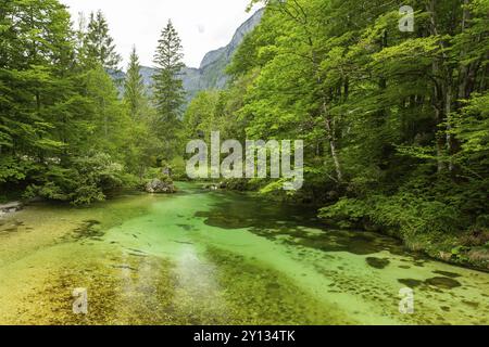 Farbenfrohes Frühlingspanorama des Flusses Sava bohinjka im Dorf Bohinj am See Ukanc. Malerische Monsterszene im Triglav-Nationalpark, Julischen Alpen Stockfoto