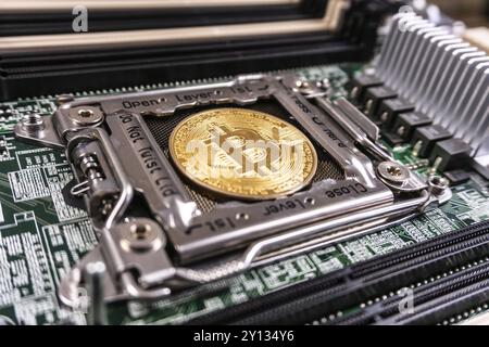 Golden Bitcoin Cryptocurrency auf der Computerplatine. Blockchain- und Sicherheitskonzept Stockfoto