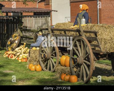 Heuwagen mit Kürbissen und zwei Vogelscheuchen vor einer Scheune, borken, münsterland, deutschland Stockfoto