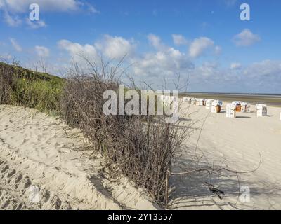 Liegestühle stehen in der Ferne an einem Sandstrand neben Dünen und Trockenpflanzen, spiekeroog, ostfriesland, Nordsee, deutschland Stockfoto