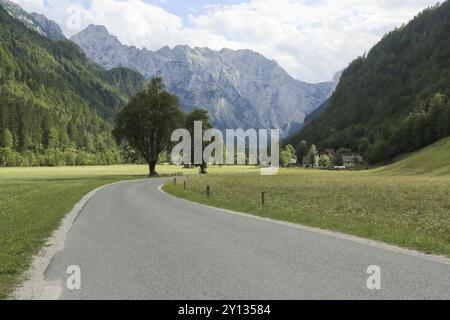 Wunderschönes Logar Valley oder Logarska Dolina Park, Slowenien, Europa. Inspirationsreise unter den Kamnik-Savinja Alpen, Europa Stockfoto