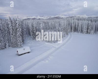 Luftbild von einem Holzhaus neben Wald und Berge im Schnee dahinter fallen im Winter Stockfoto