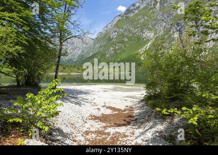 Farbenfrohes Frühlingspanorama des Bohinj-Sees in Ukanc. Malerische Monsterszene im Triglav-Nationalpark, Julischen Alpen Stockfoto