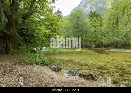 Farbenfrohes Frühlingspanorama des Flusses Sava bohinjka im Dorf Bohinj am See Ukanc. Malerische Monsterszene im Triglav-Nationalpark, Julischen Alpen Stockfoto