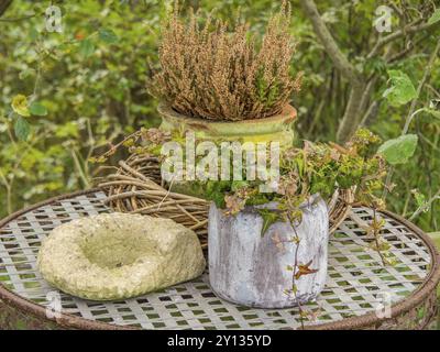 Bunte Pflanzgefäße und eine Steinskulptur stehen auf einem gitterartigen Metalltisch im Garten spiekeroog, ostfriesland, Nordsee, deutschland Stockfoto