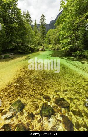 Farbenfrohes Frühlingspanorama des Flusses Sava bohinjka im Dorf Bohinj am See Ukanc. Malerische Monsterszene im Triglav-Nationalpark, Julischen Alpen Stockfoto