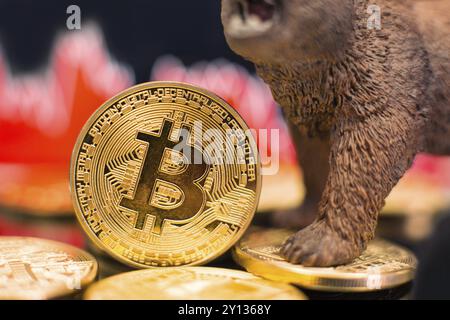 Bitcoin mit einem roten Kartenwurf. Preiscrash- und Bären-Markttrend-Konzept Stockfoto