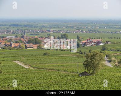 Ein Dorf umgeben von grünen Weinbergen und einer weiten Landschaft mit Häusern und Feldern, Pfalz, Rheinland-Pfalz, Deutschland, Europa Stockfoto