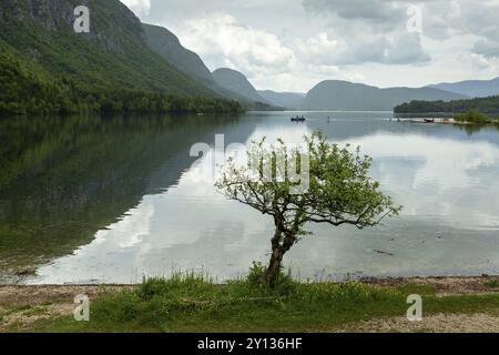 Farbenfrohes Frühlingspanorama des Bohinj-Sees in Ukanc. Malerische Monsterszene im Triglav-Nationalpark, Julischen Alpen Stockfoto