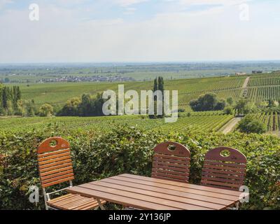 Ein Holztisch und Stühle vor einer weitläufigen Landschaft mit Weinbergen und Bäumen, Pfalz, Rheinland-Pfalz, Deutschland, Europa Stockfoto