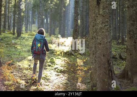 Wanderer mit Rucksack spazieren auf dem Weg und erkunden den Sommer-Fichtenwald. Genießen Sie die unberührte Natur Stockfoto