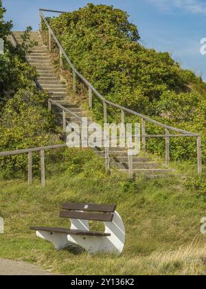 Holztreppe mit Geländer führt von einer Bank in eine bewachsene, hügelige Landschaft unter blauem Himmel, spiekeroog, ostfriesland, Nordsee, deutschland Stockfoto