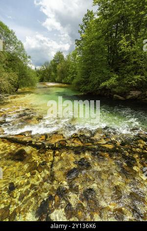 Farbenfrohes Frühlingspanorama des Flusses Sava bohinjka im Dorf Bohinj am See Ukanc. Malerische Monsterszene im Triglav-Nationalpark, Julischen Alpen Stockfoto