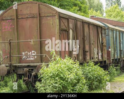 Verlassene und teilweise verrostete Güterwagen auf bewachsenen Gleisen mit Graffiti, Duisburg, Ruhrgebiet, Deutschland, Europa Stockfoto