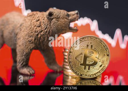 Bitcoin mit einem roten Kartenwurf. Preiscrash- und Bären-Markttrend-Konzept Stockfoto