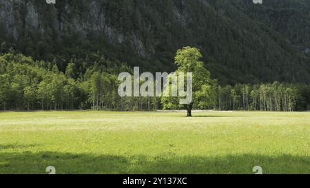 Wunderschönes Logar Valley oder Logarska Dolina Park, Slowenien, Europa. Inspirationsreise unter den Kamnik-Savinja Alpen, Europa Stockfoto