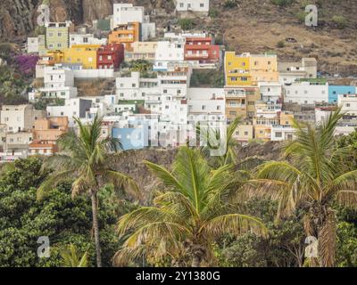 Farbenfrohe Häuser an einem Berghang umgeben von Palmen und grüner Vegetation, teneriffa, kanarische Inseln, spanien Stockfoto