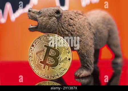 Bitcoin mit einem roten Kartenwurf. Preiscrash- und Bären-Markttrend-Konzept Stockfoto