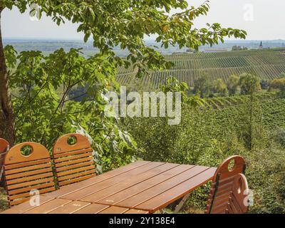 Ein Holztisch mit Holzstühlen und Blick auf grüne Weinberge im Sommer, Pfalz, Rheinland-Pfalz, Deutschland, Europa Stockfoto