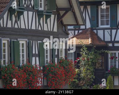 Charmantes Fachwerkhaus mit grünen Fensterläden, roten Blumen, einladendem kleinen Garten und historischen Details, Schwarzwald, Bade-Württemberg, Deutschland, Stockfoto