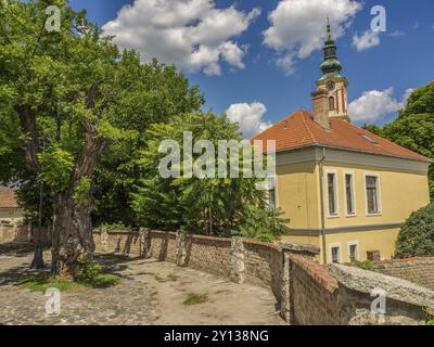 Kopfsteinpflasterweg führt vorbei an einer gelben Hausmauer und Bäumen unter klarem Himmel, Szentendere, Donau, Ungarn, Europa Stockfoto