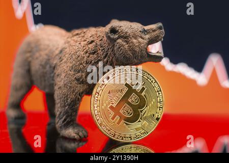 Bitcoin mit einem roten Kartenwurf. Preiscrash- und Bären-Markttrend-Konzept Stockfoto