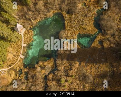 Magische Landschaft von der Luftdrohne aus gesehen, Zelenci, Slowenien, Europa Stockfoto