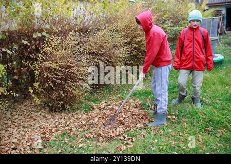 Zwei Kinder, die an einem bewölkten Herbsttag in einem von Sträuchern umgebenen Garten Blätter harken Stockfoto